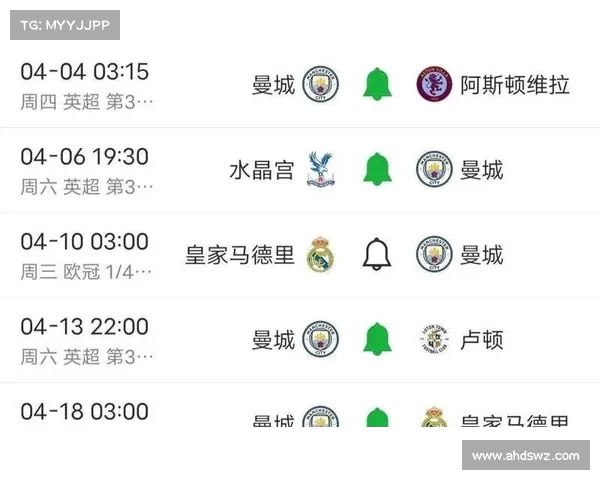 2025英超赛季各大俱乐部荣誉争夺与冠军归属全面分析